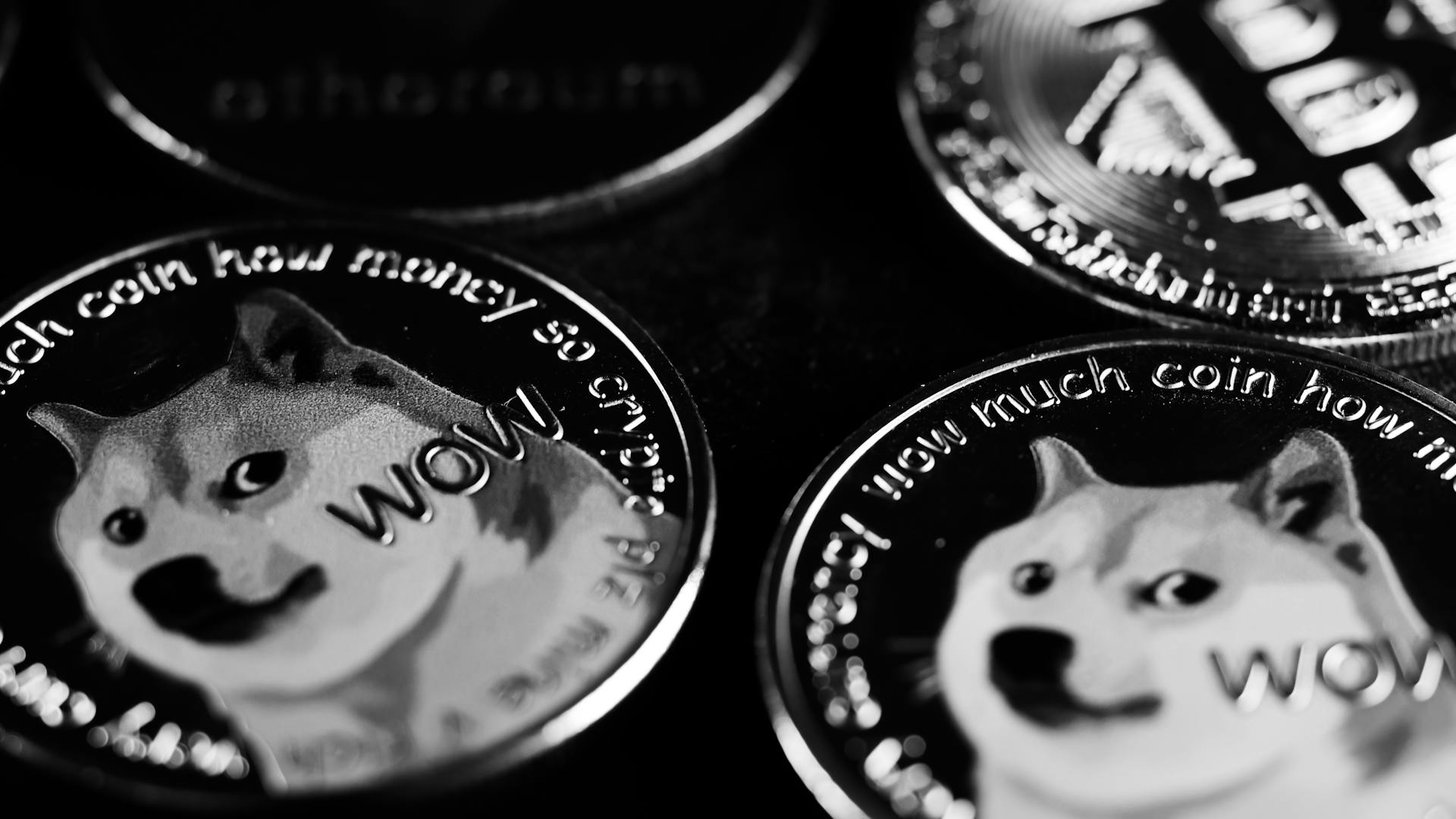 gambling online with dogecoin